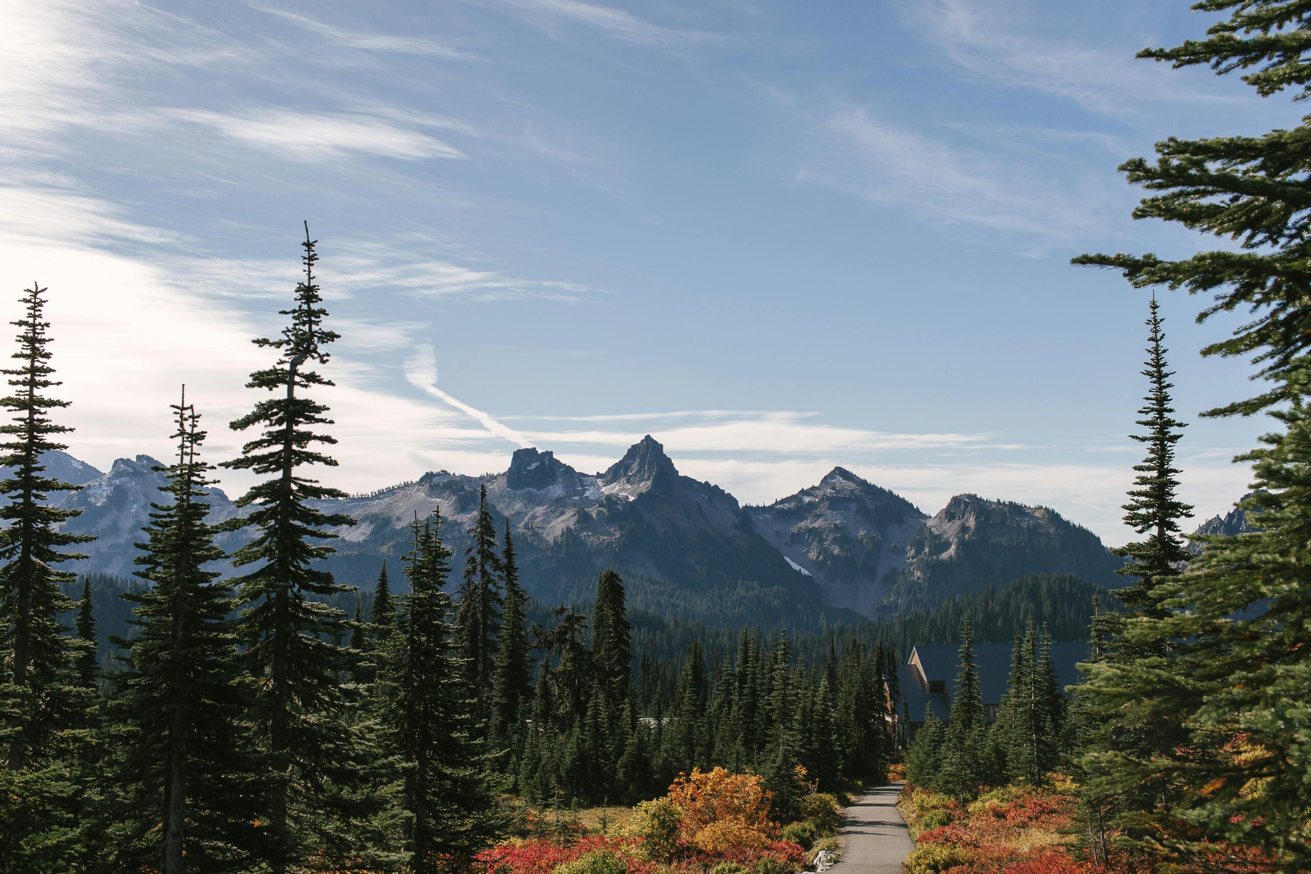 Breathtaking view of the Cascade Range with evergreen trees in Mount Rainier, WA.